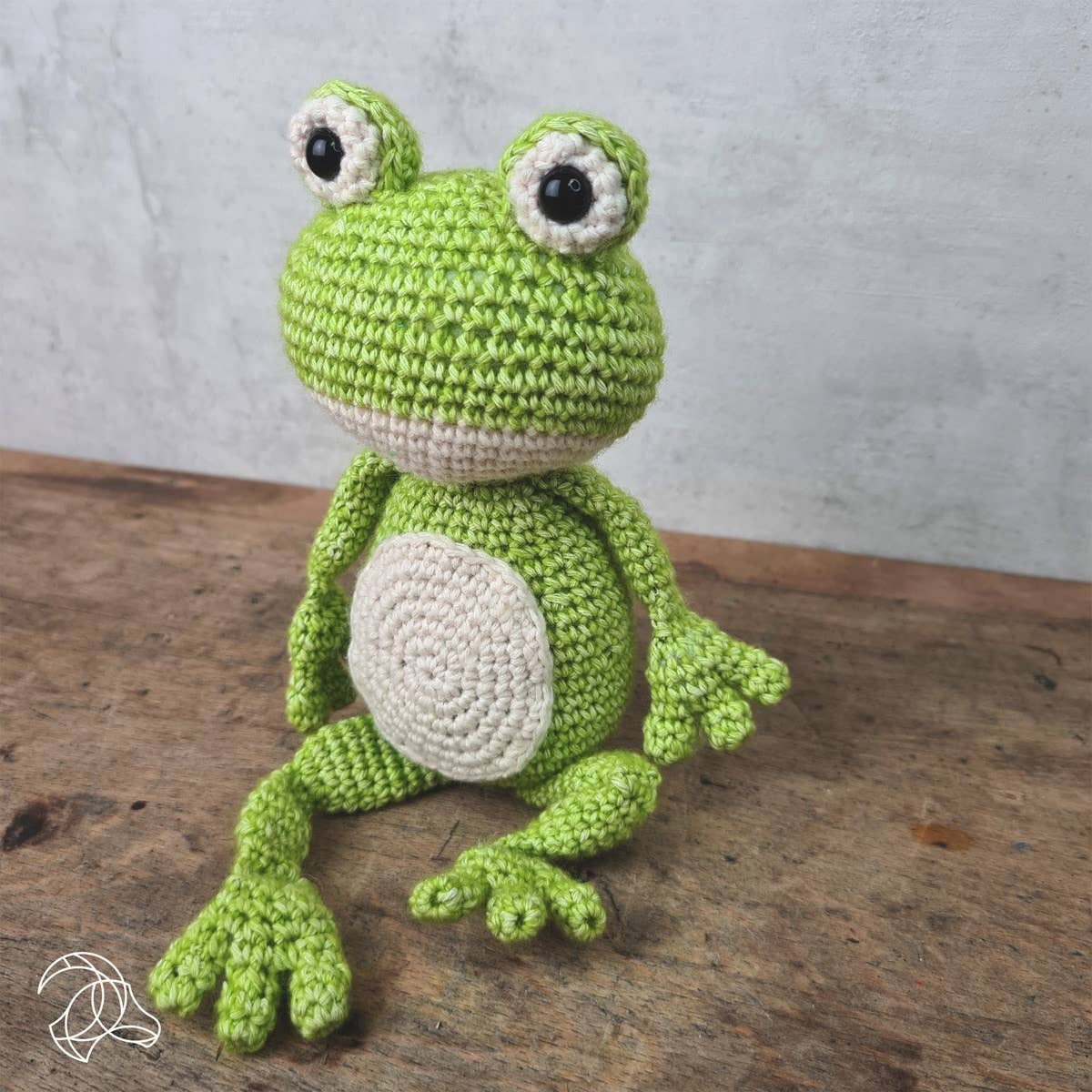 Crochet Kit - Vinny Frog Handicraft