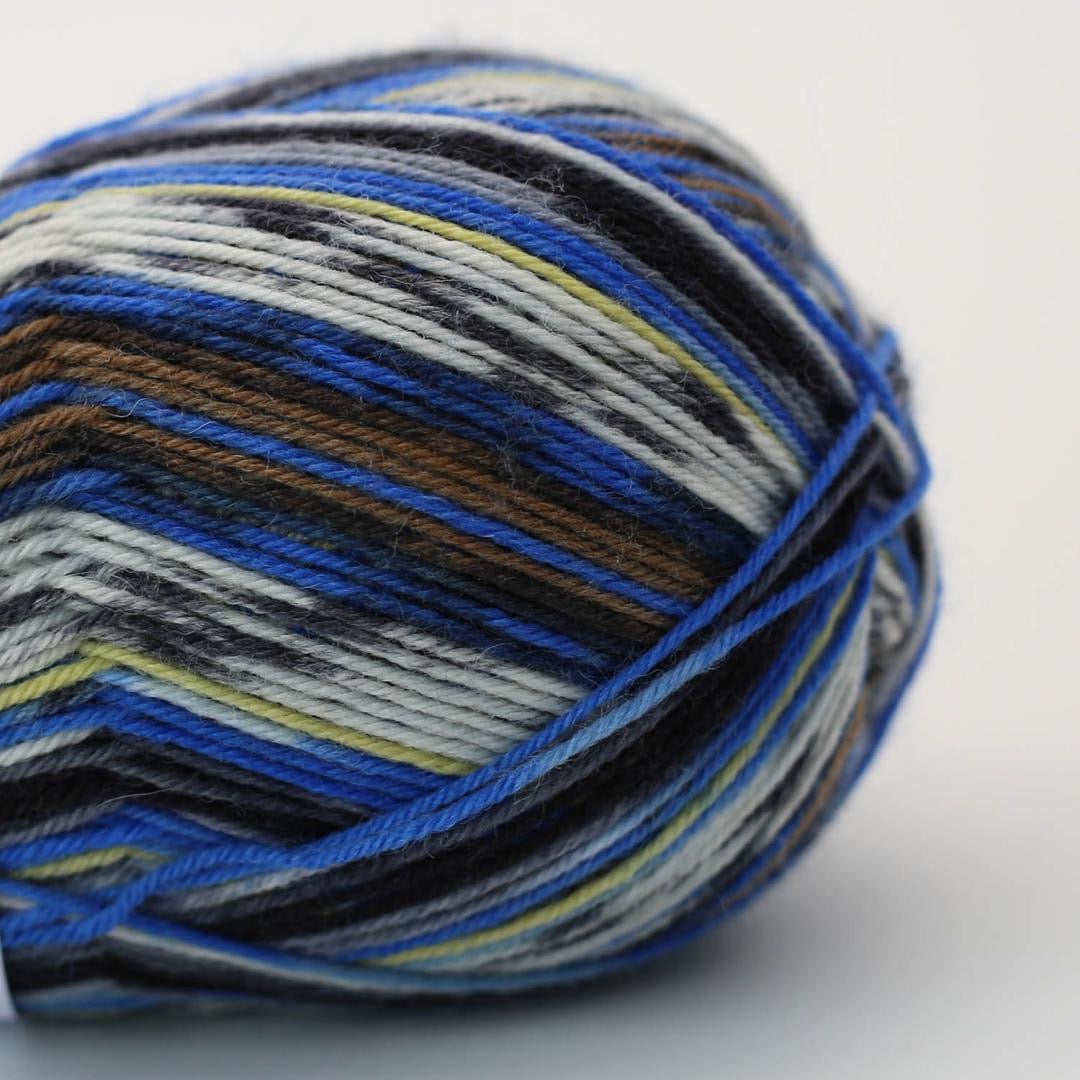 ARNE & CARLOS Sock and More 4 ply