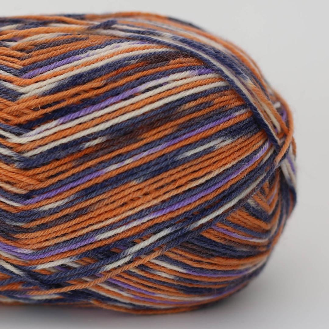 ARNE & CARLOS Sock and More 4 ply