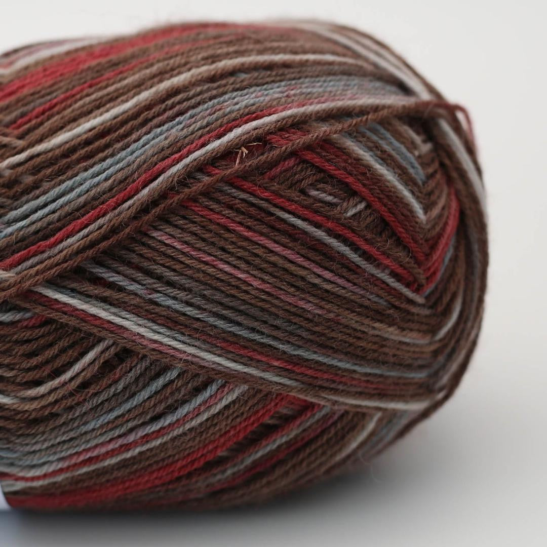 ARNE & CARLOS Sock and More 4 ply