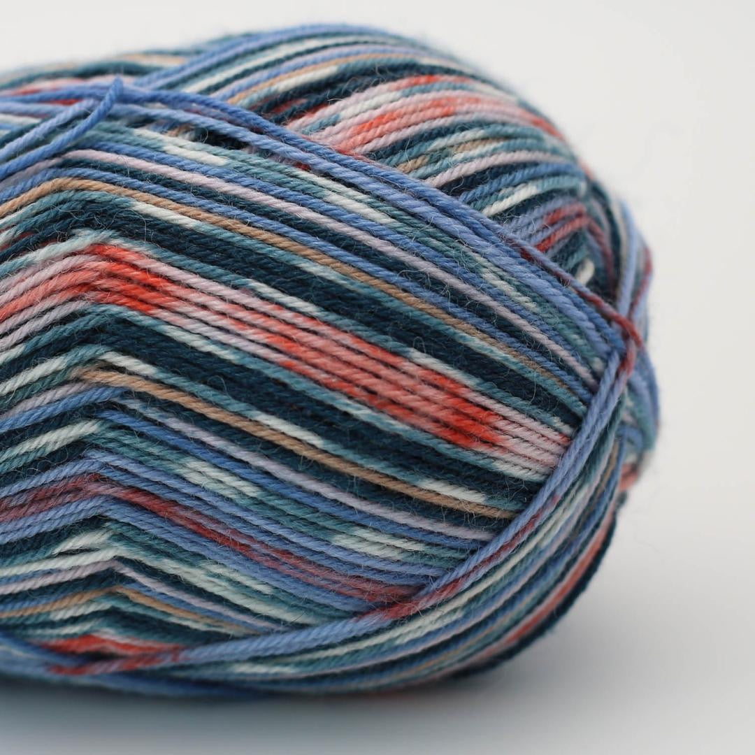 ARNE & CARLOS Sock and More 4 ply
