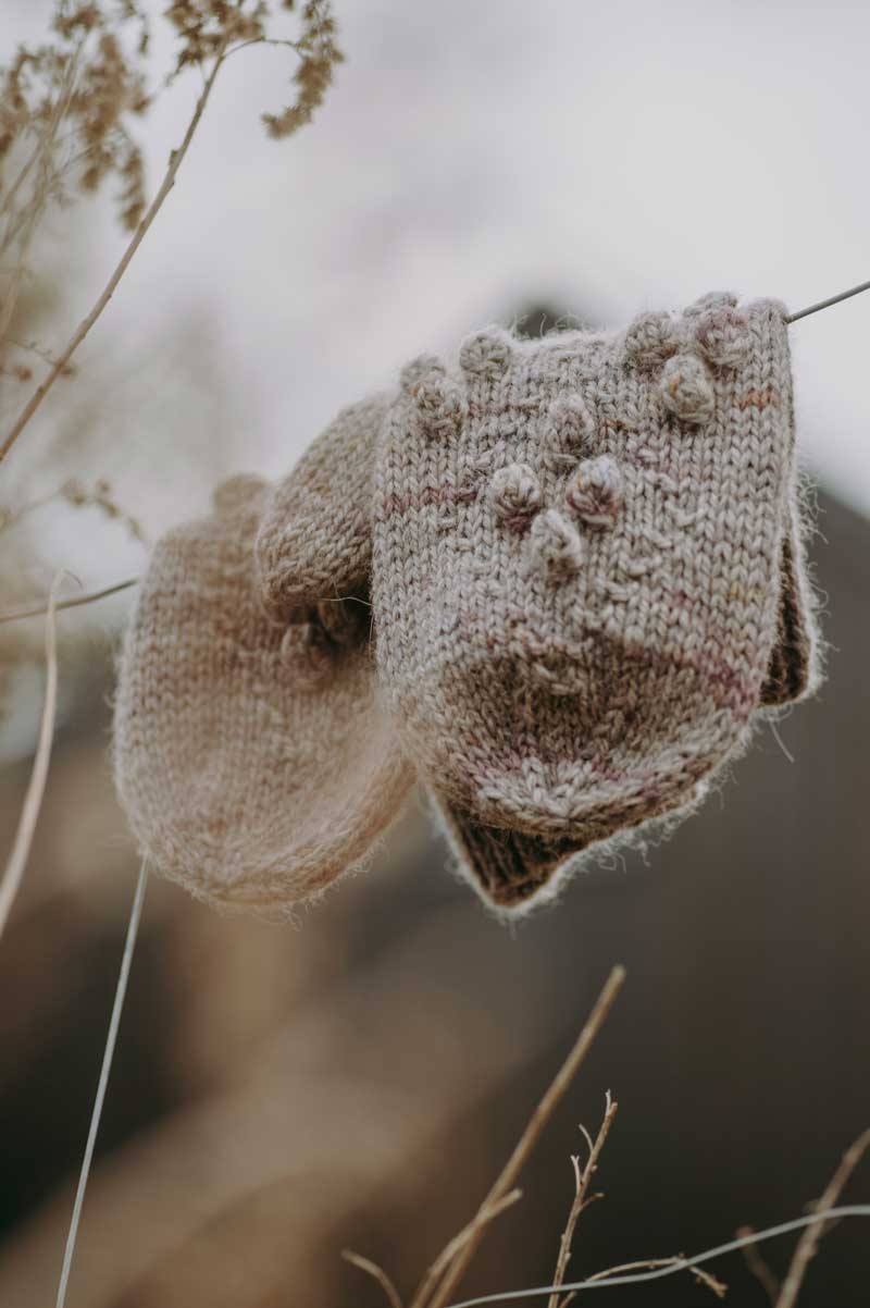 Seasons of Stitches